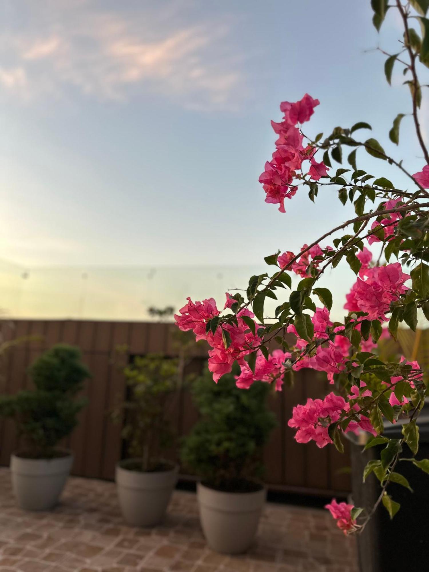 危地马拉 Sky Garden酒店 外观 照片